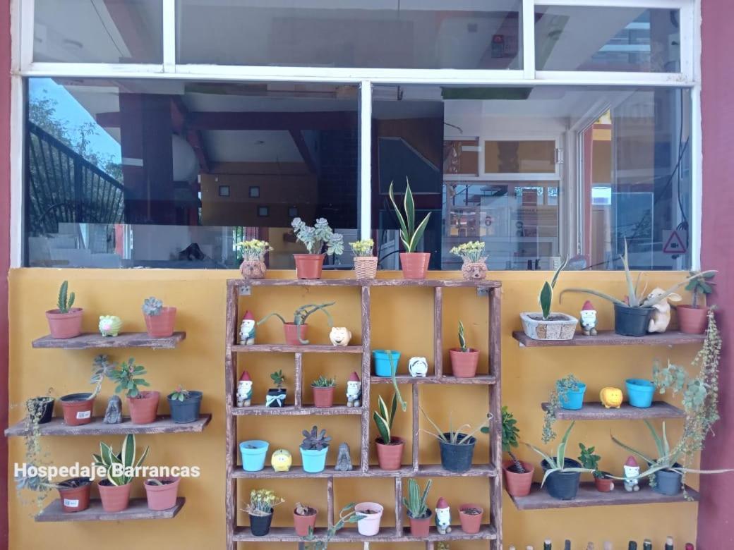 Hospedaje Barrancas Ξενοδοχείο Cosoleacaque Εξωτερικό φωτογραφία